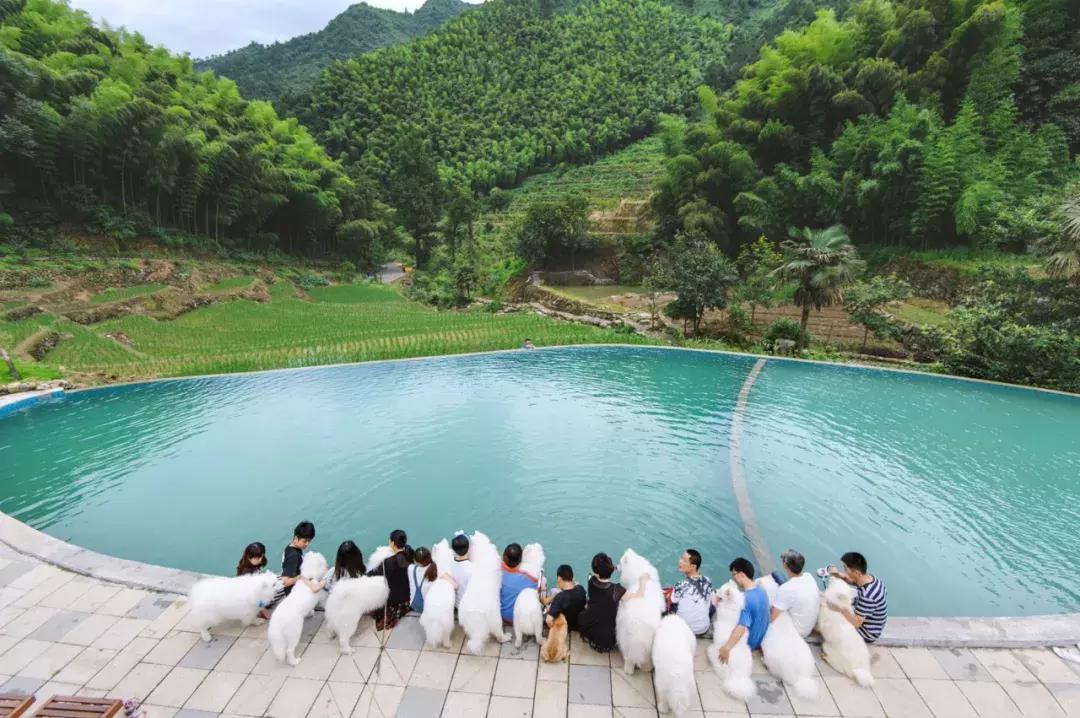 399元无边泳池,无边泳池抖音优惠团购