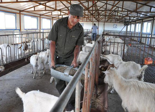 农村创业四个不起眼的商机,农村现在适合做什么创业暴利