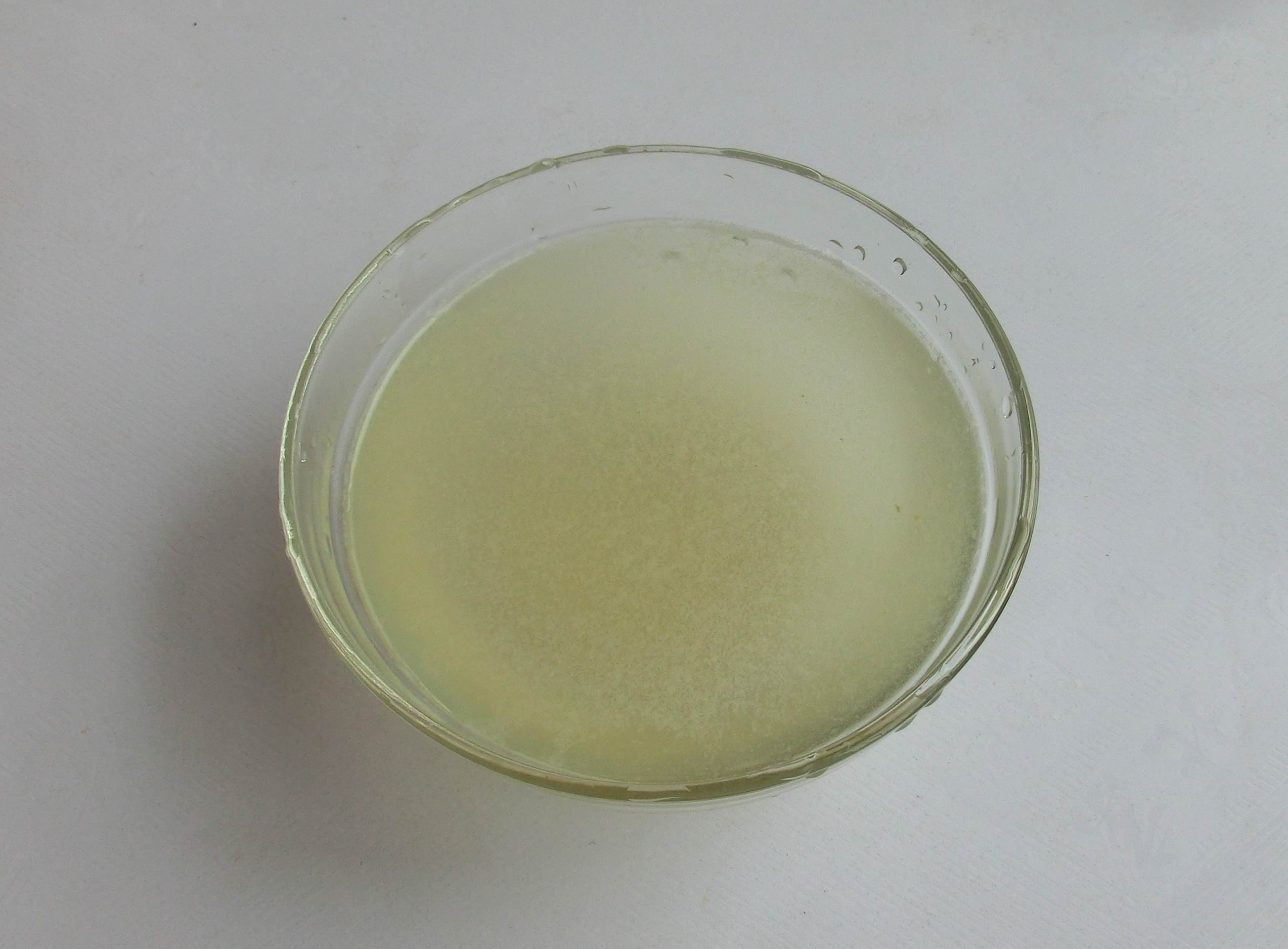 腊月初六接福接财接好运,腊月十五接福