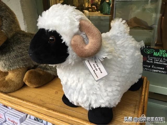 英国湖区景点排行榜,英国旅游推荐海边旅游景点