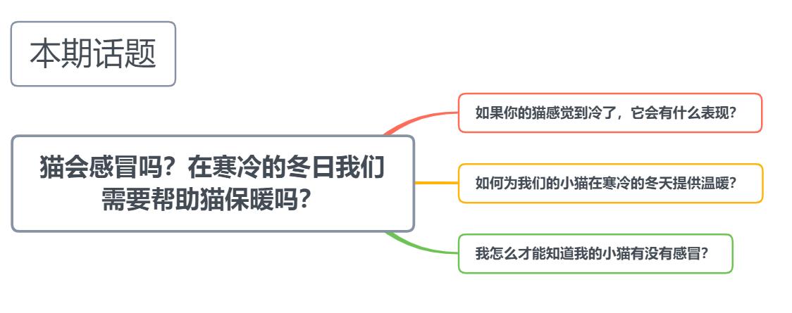 猫咪冬天冷用什么取暖,猫咪感冒了怎么给猫咪保暖