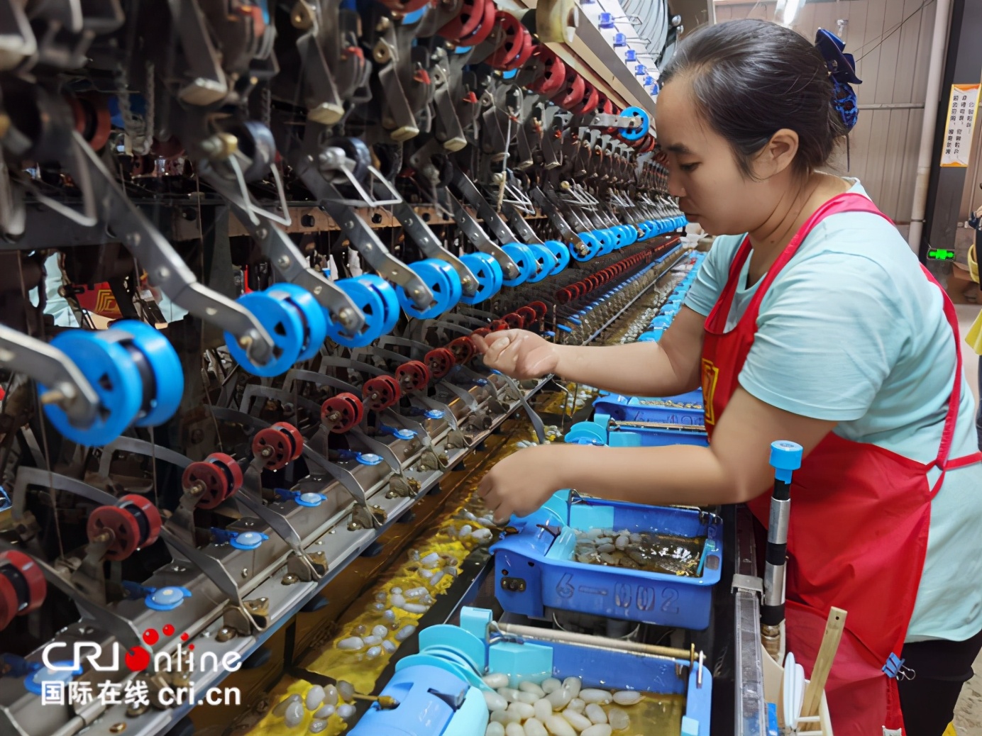 广西那坡县扶贫,广西那坡县农业