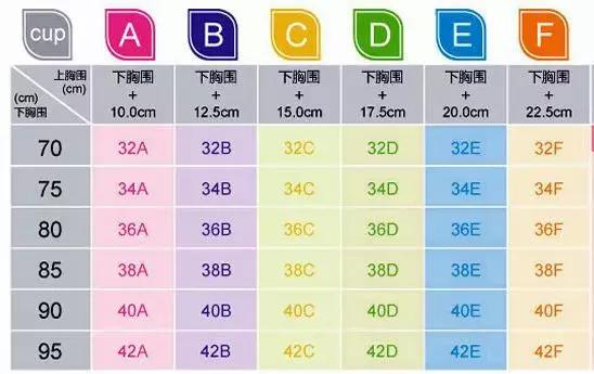 内衣小知识｜你适合穿多大内衣？量一量就知道！