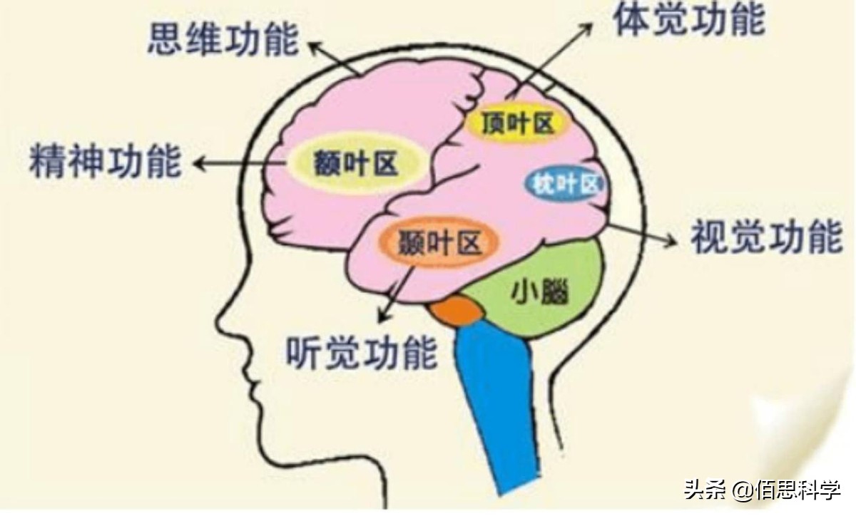 阿兹海默症跟失智症一样吗,阿兹海默病是帕金森吗
