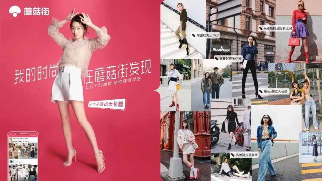 想要买花的在哪里买,想购买菏泽牡丹怎样购