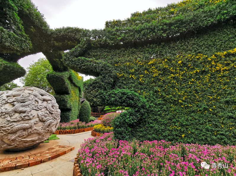 自拍达人全景,南宁自拍拍照博主