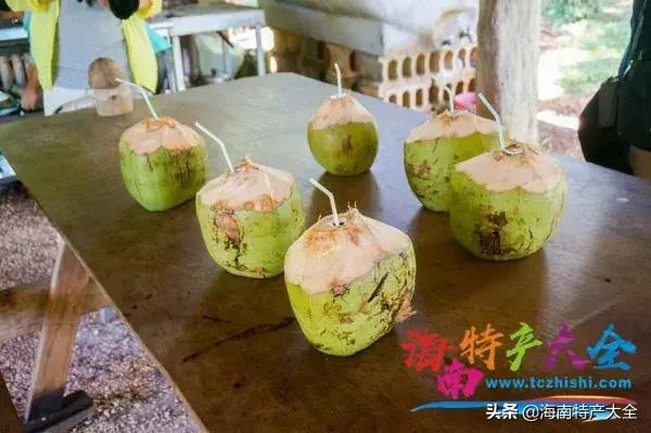 椰子在海南是一种怎样的存在，你真的懂它吗？