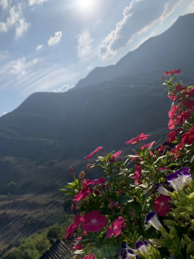 大可老师合集,大可老师讲座