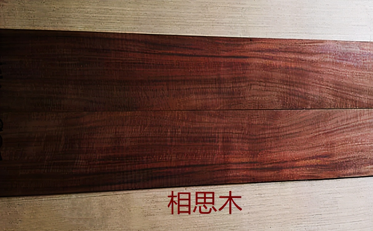 最适合夏天的清新文艺小乐器！果然非它莫属