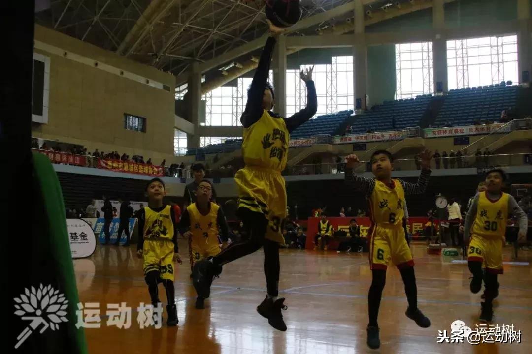 中国篮球名宿走进学校,中国篮球名宿26分