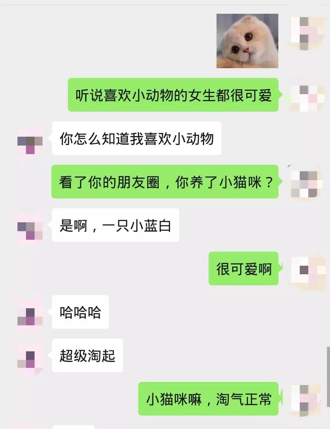 聊天的攻略全部通关,聊天全部教程