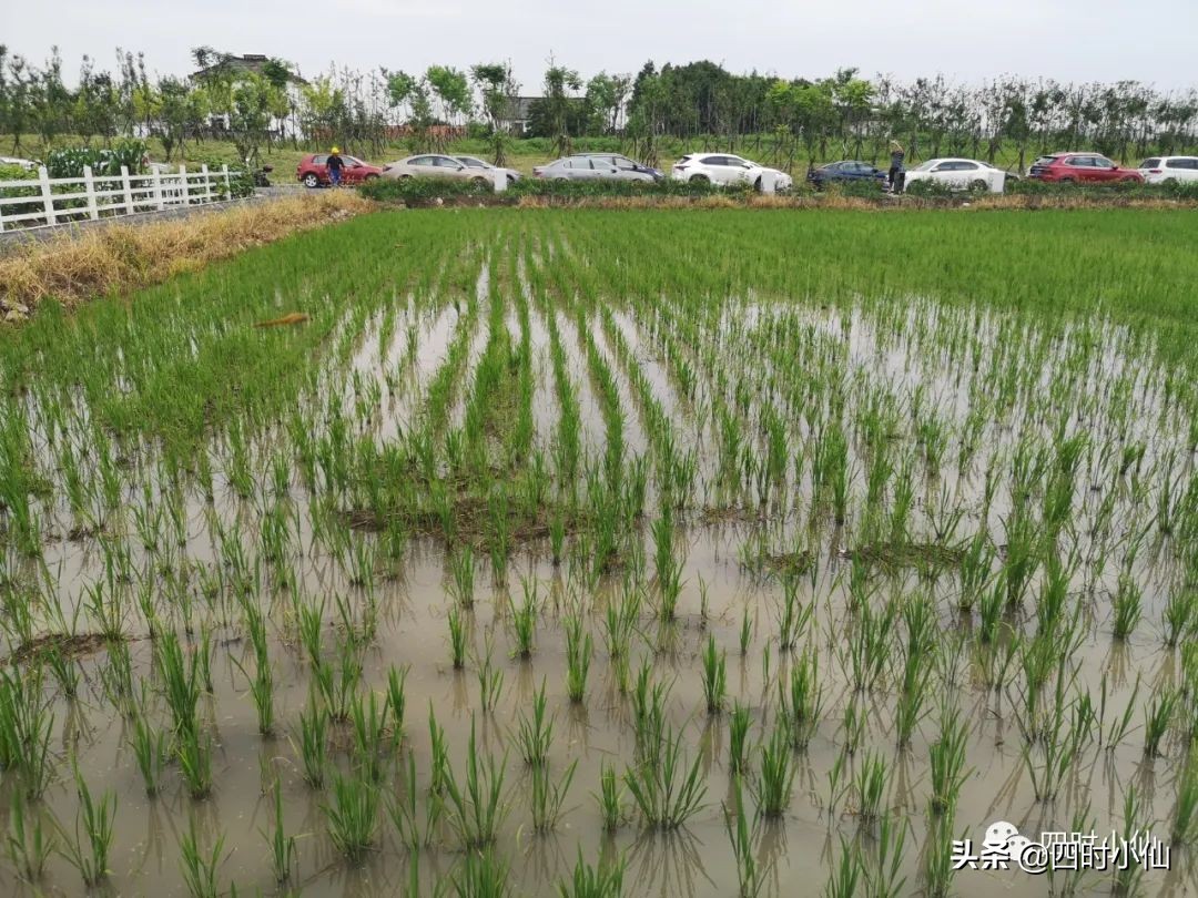 极简风网红民宿,8家网红民宿推荐