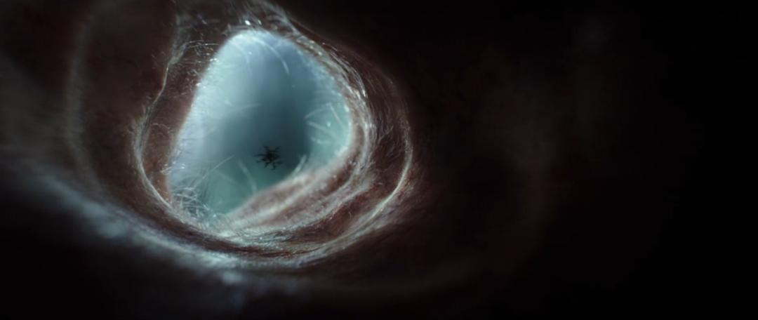 异形到底有多少种形态,异形到底存在吗