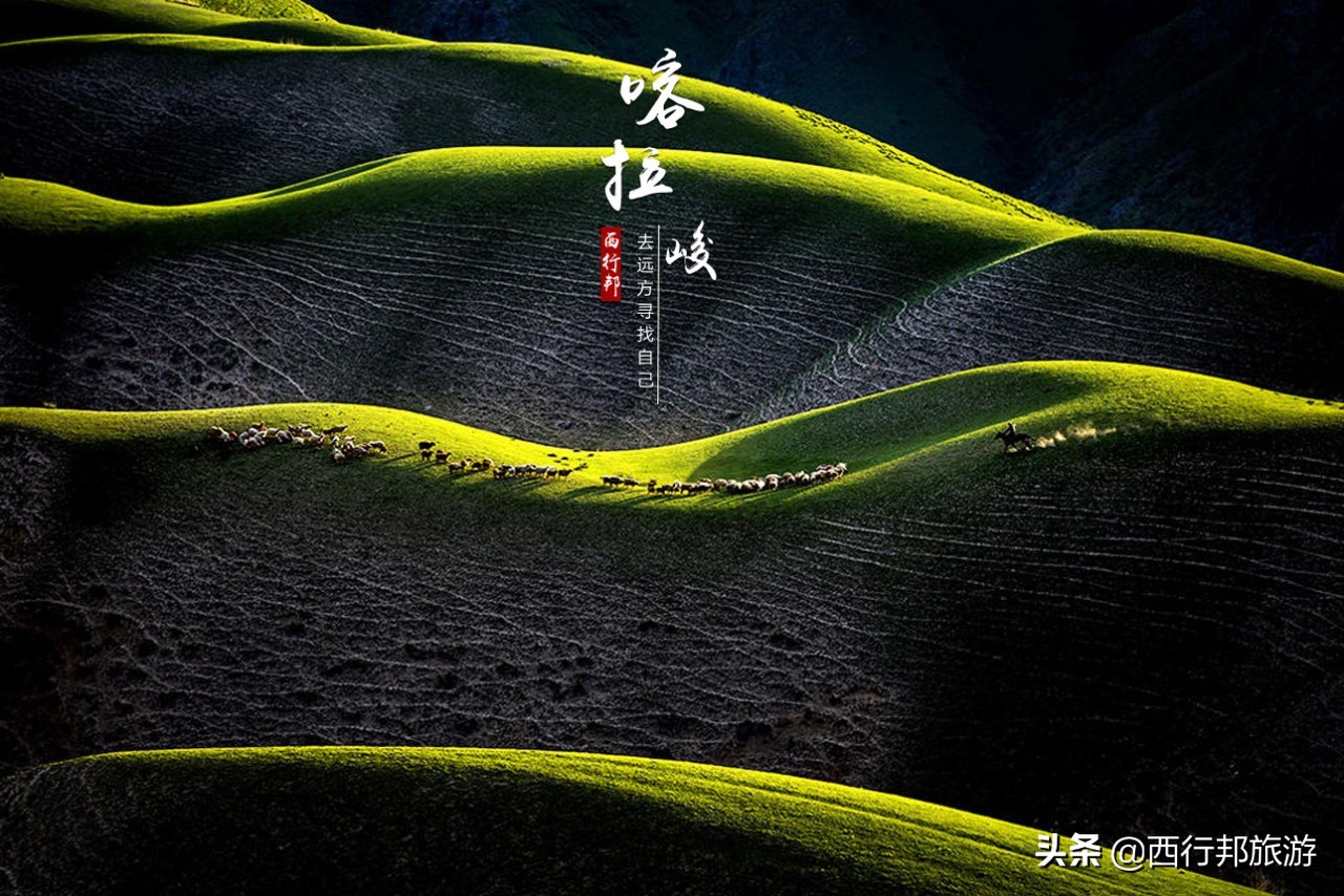 哼，又想「骗」我去*疆新**旅游！