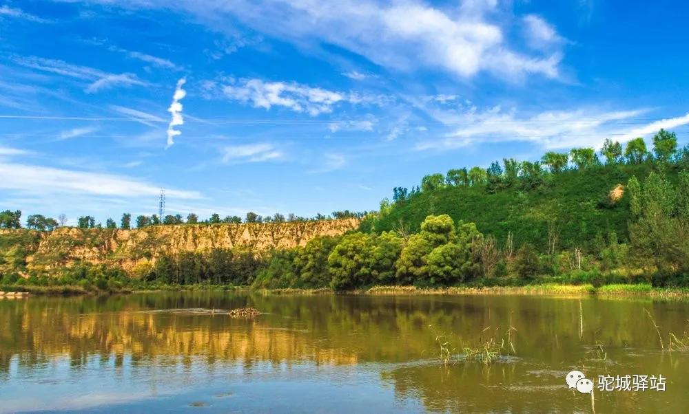 榆林牡丹园,榆林千年牡丹园