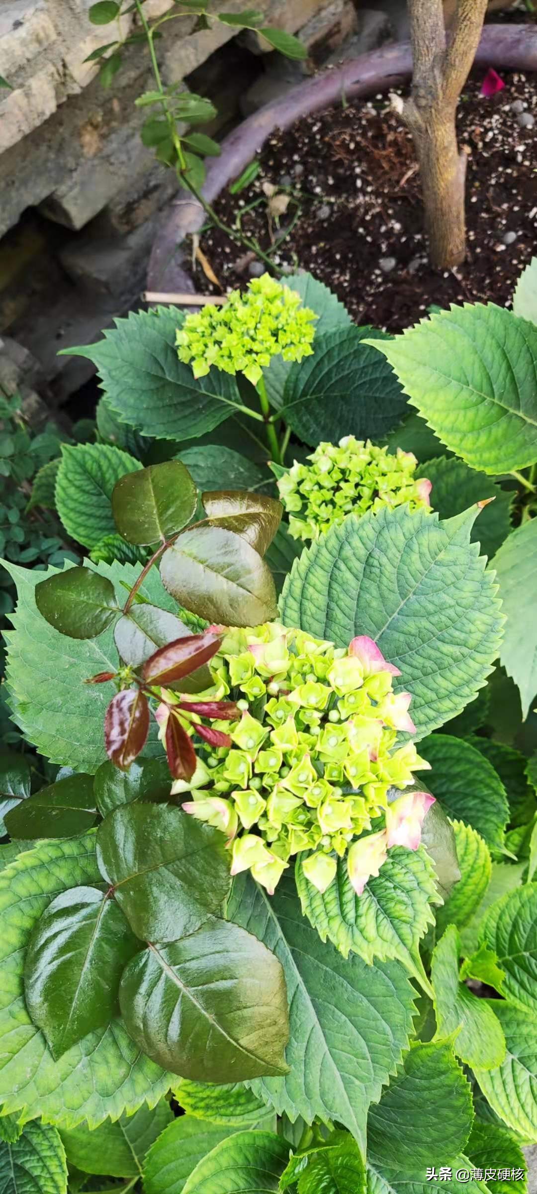 如何宠老婆最有内涵,怎么样宠老婆最让她有安全感