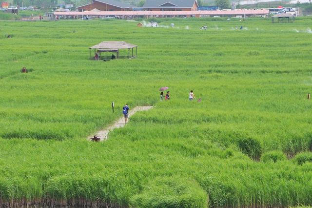 夏日旅游唐山攻略路线,旅行攻略唐山