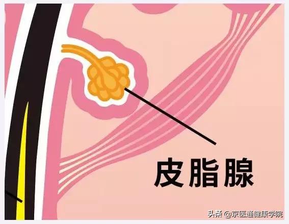 脸色发黄毛孔粗大出油严重怎么办,脸部爱出油长痘毛孔粗大怎么调理