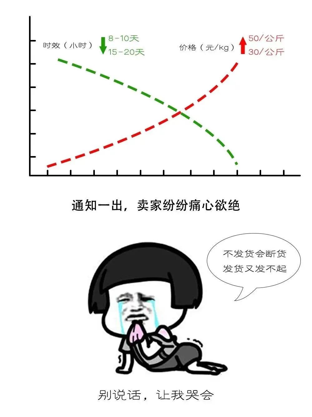 术业有专攻成功的感悟,术业有专攻效果出奇迹