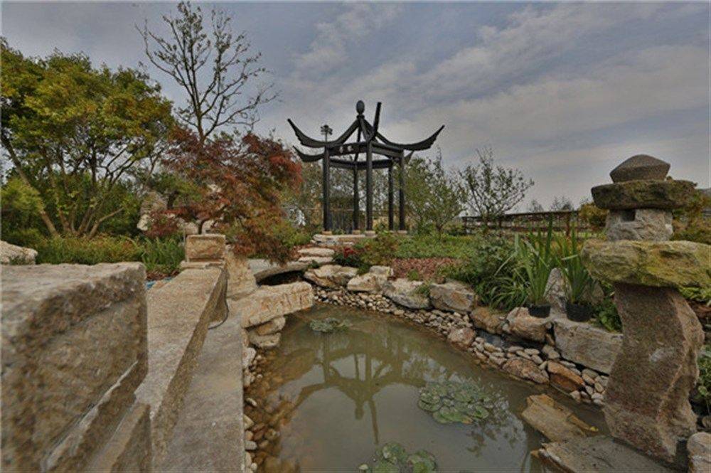 上海国际花卉展奉贤,上海国际花展预约