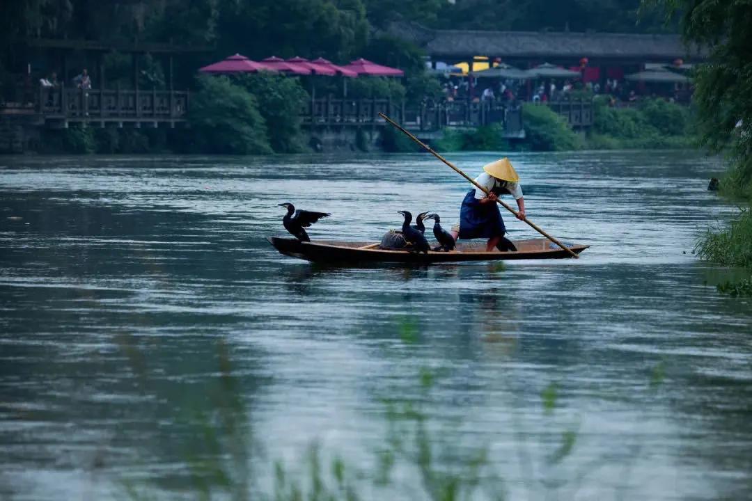 成都一座浪漫的城市,成都真是一个让人放松的城市