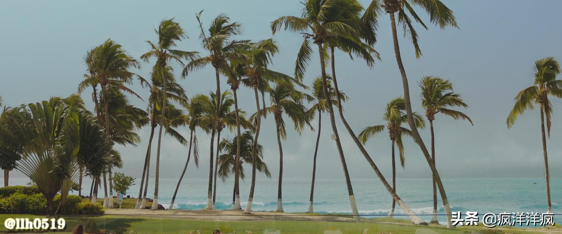 《安娜》影评，若为自由故万物皆可杀