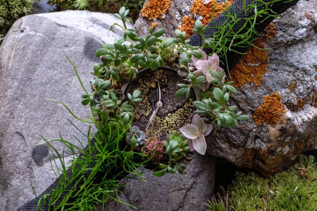 这枚独一无二的腕表，让你真正体会到时间的意义、生态的脆弱