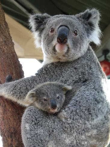 初中英语书mynameismary,三年级英语mynameissarah