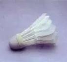 羽毛球为什么是16根羽毛,羽毛球一直是一样的握拍吗