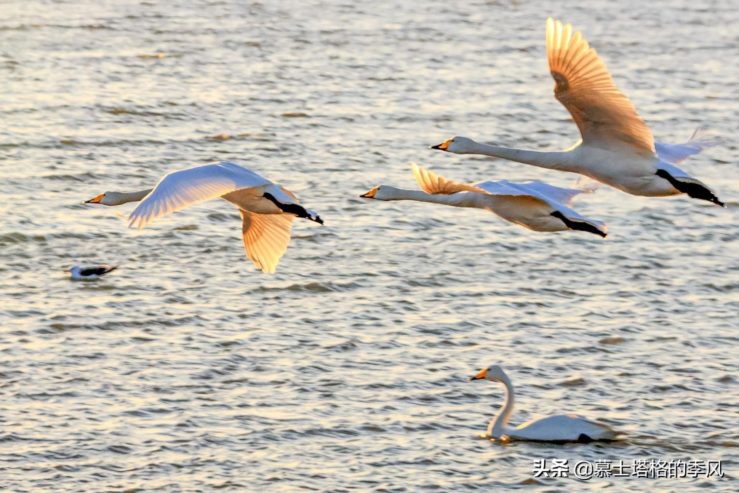 中国北方宜居的海边城市,中国北方宜居的海边县城
