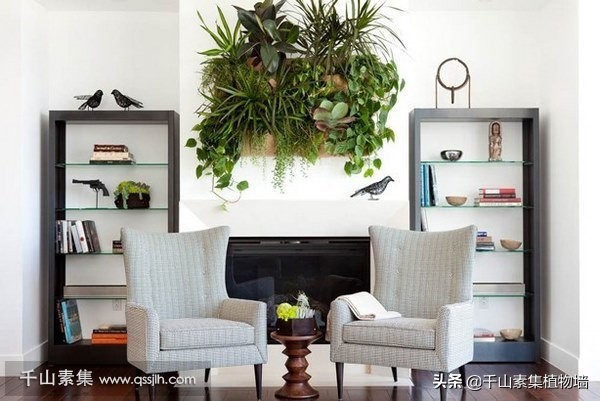 室内墙壁软装搭配效果图,室内墙仿真植物软装搭配