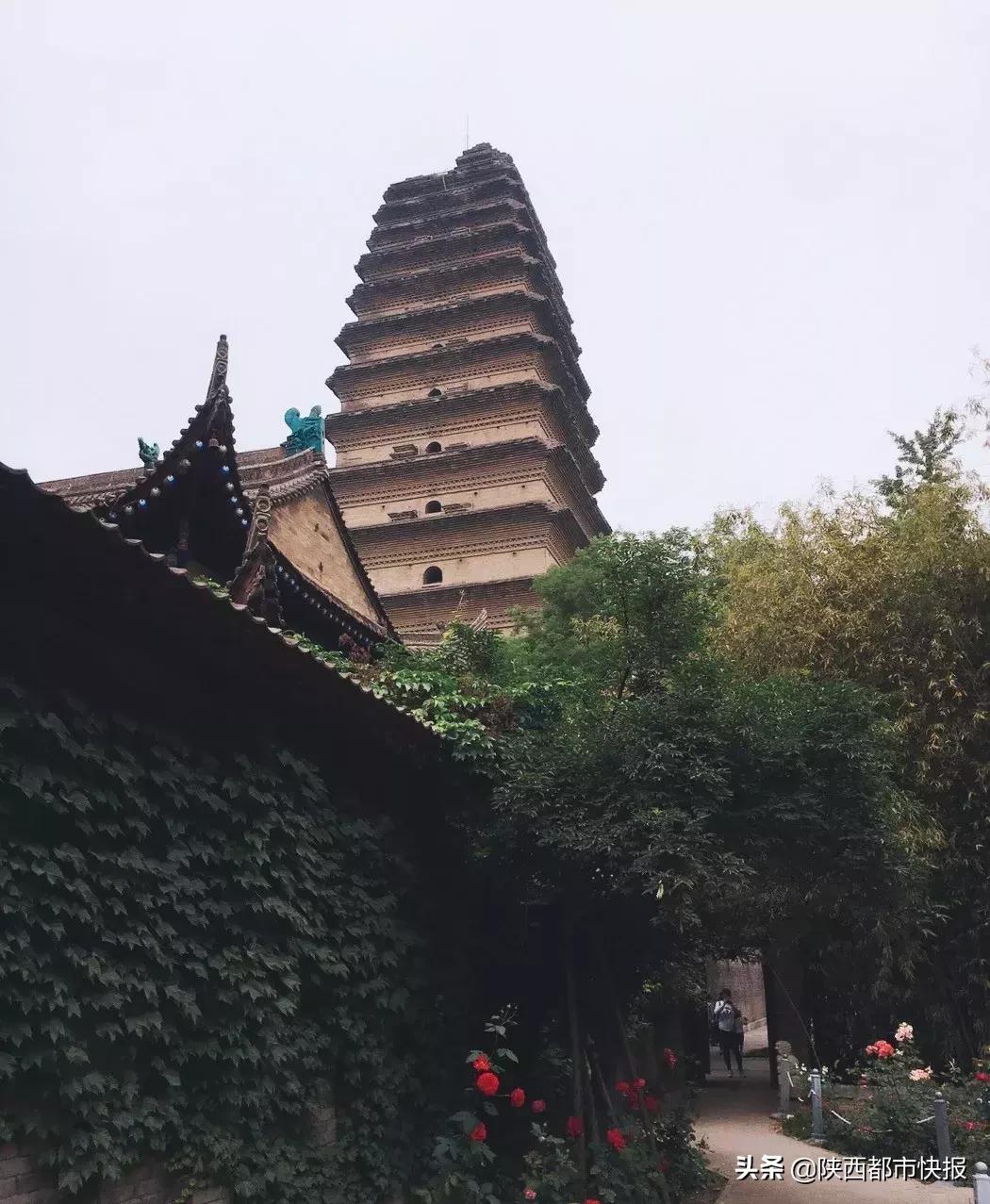 “长安一日”追剧一夏流量长安不如流浪长安