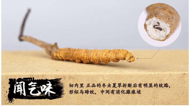 疆内旅游十大好去处,从新疆去哪旅游最便宜