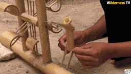 花三年建宠物乐园,花20万给狗打造乐园