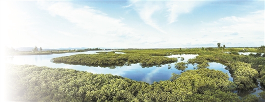 鐢ㄦ椿鎻寸枂璧勬簮,璋卞啓楂樻按骞冲澶栧紑鏀炬柊绡囩珷
