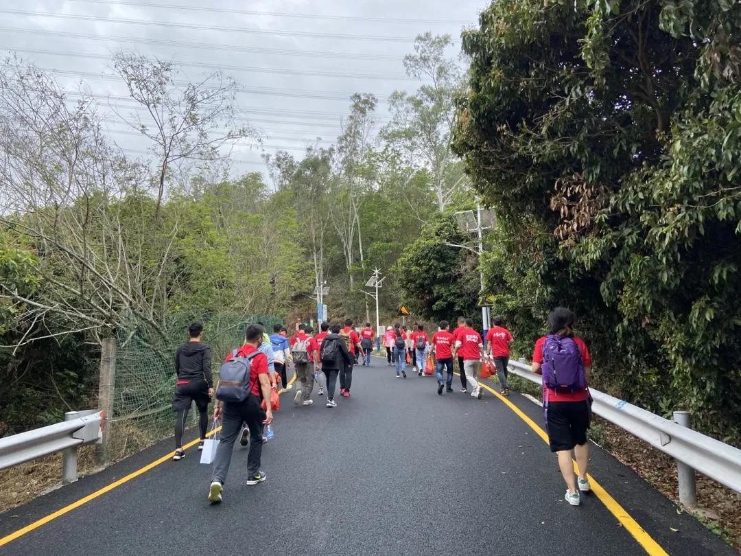 不负人间好春光完整版,不负人间好春光