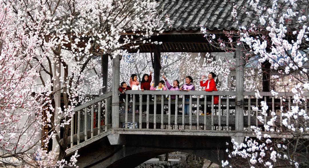 缙云旅游景点拍照攻略,缙云景区拍照攻略视频