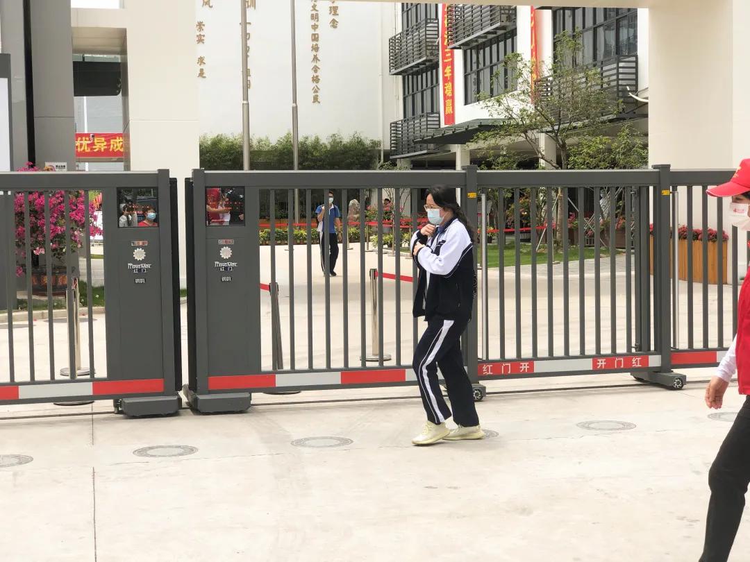 萌娃、萌宠纷纷抢镜！今年高考作文，深圳学生躺赢？