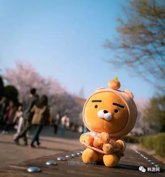 去济州岛一定要买返程票吗,去济州岛一定得去免税店吗