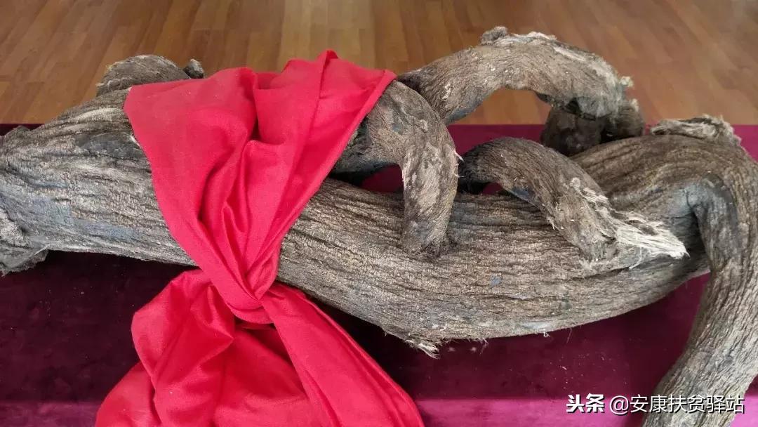 安康市十大杰出青年名单,安康十大杰出青年