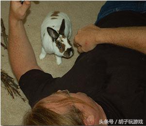 动物救人真实事件,4个动物救人的真实事件