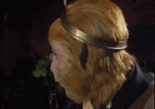 你的英文名字在外国人眼中,你的英语很垃圾英语