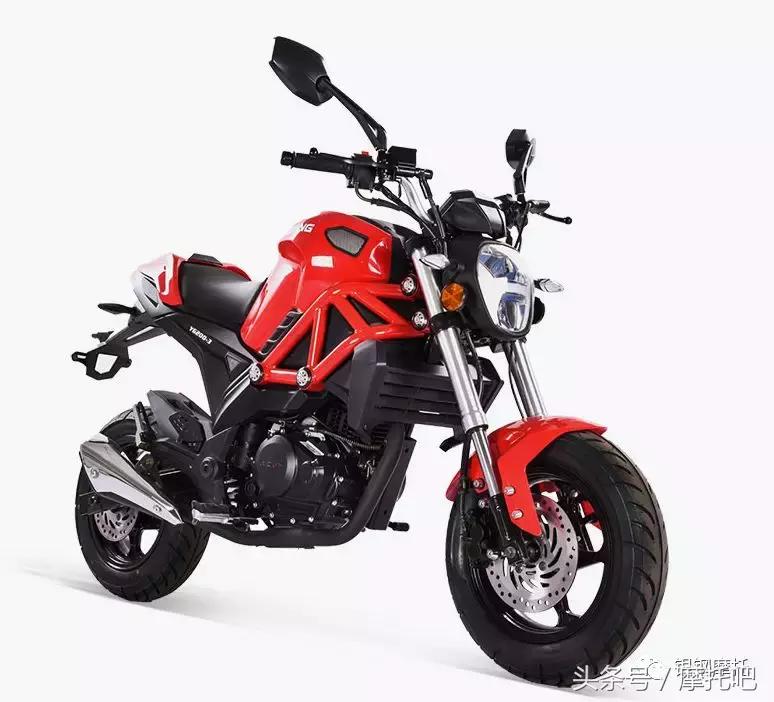 买个小怪兽啥意思,买小怪兽要注意什么