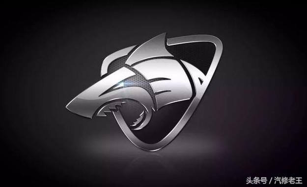 宝骏530可以改新宝骏车标,宝骏换车标图片大全