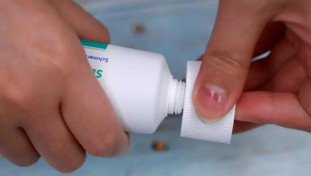 10级代购达人才会知道,这个国家的好货最多!