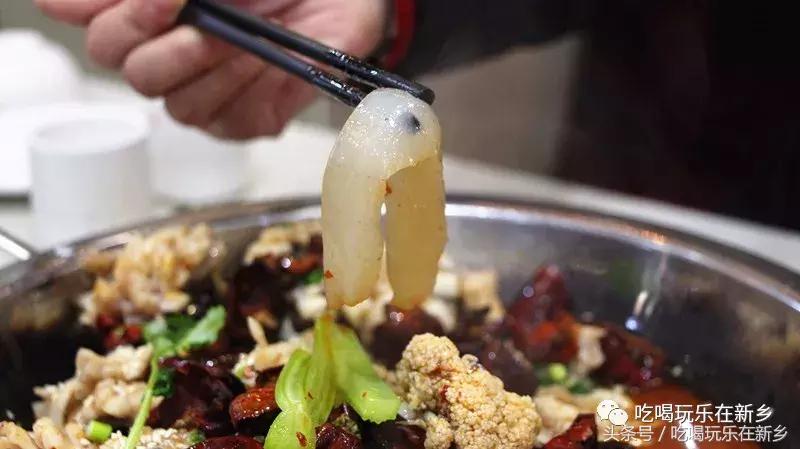 2058花乌鱼？新乡人再不补充胶原蛋白就要加入脱发大军啦！