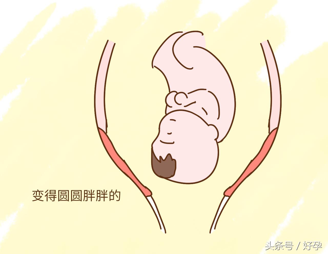 孕晚期经常躺在床上胎儿会入盆吗,孕晚期胎儿入盆有什么表现