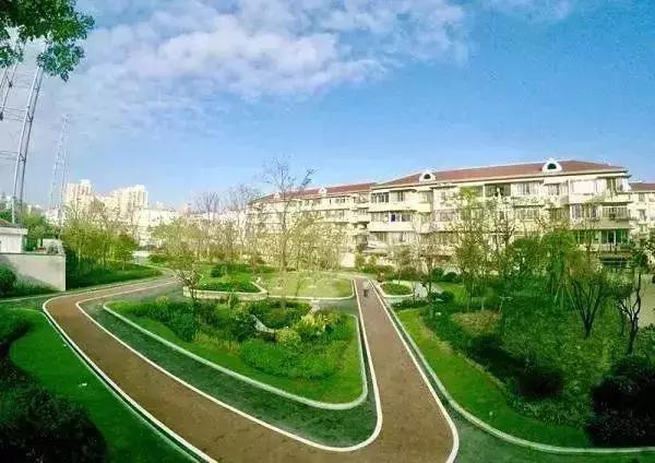 大局已定创业路何去何从,杨浦区的发展趋势