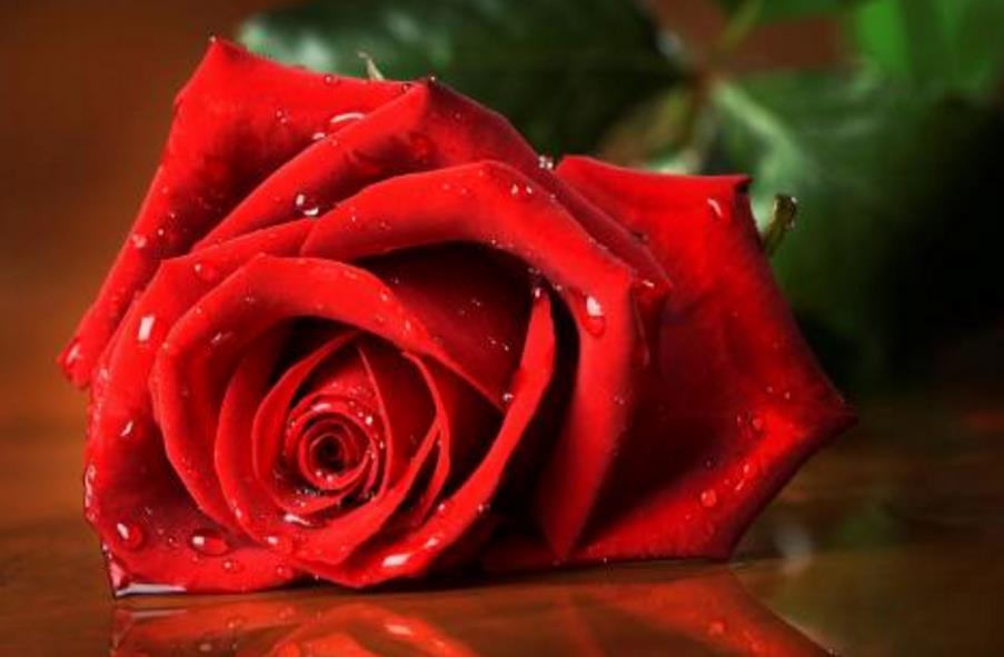 人生哪怕再穷也要活的实实在在,即使是粗茶淡饭也能岁月静好