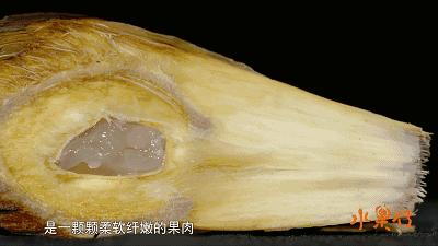 一部看完就想去买水果的纪录片，一次过见识50个城市的奇珍异果！